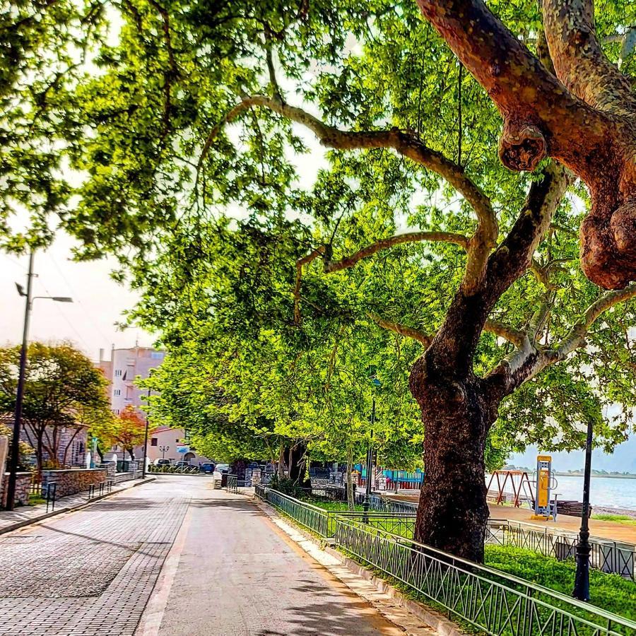 Nafpaktos Beach Luxury Suites 外观 照片
